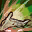 Abyssal Power ID 1474